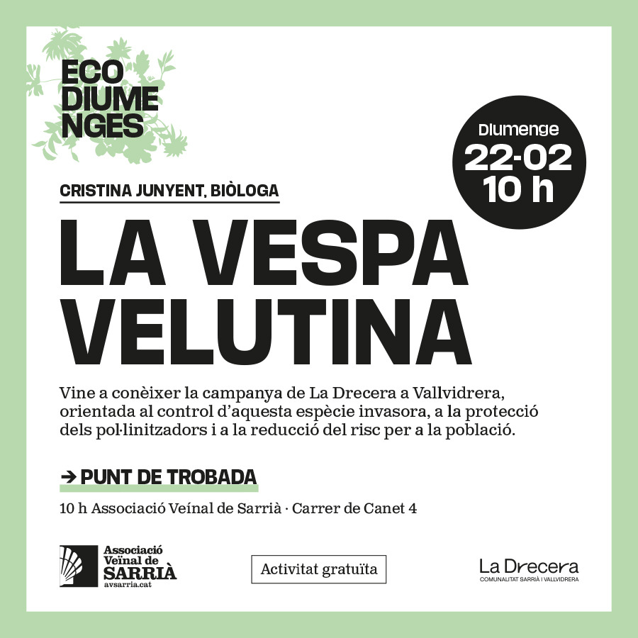 A.V.Sarrià tweet media