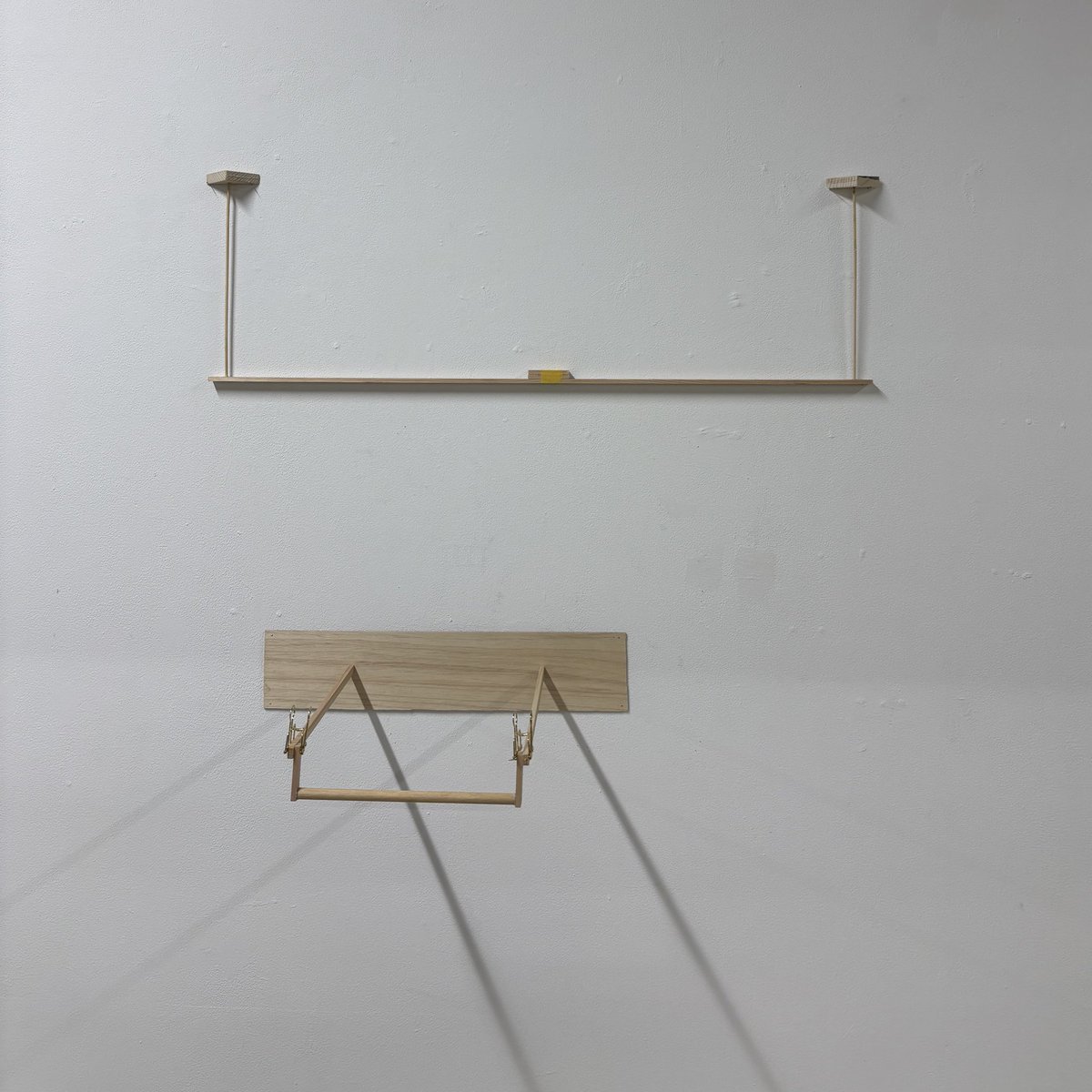 幸せに歩く！ (@qnem0ne_) on Twitter photo 