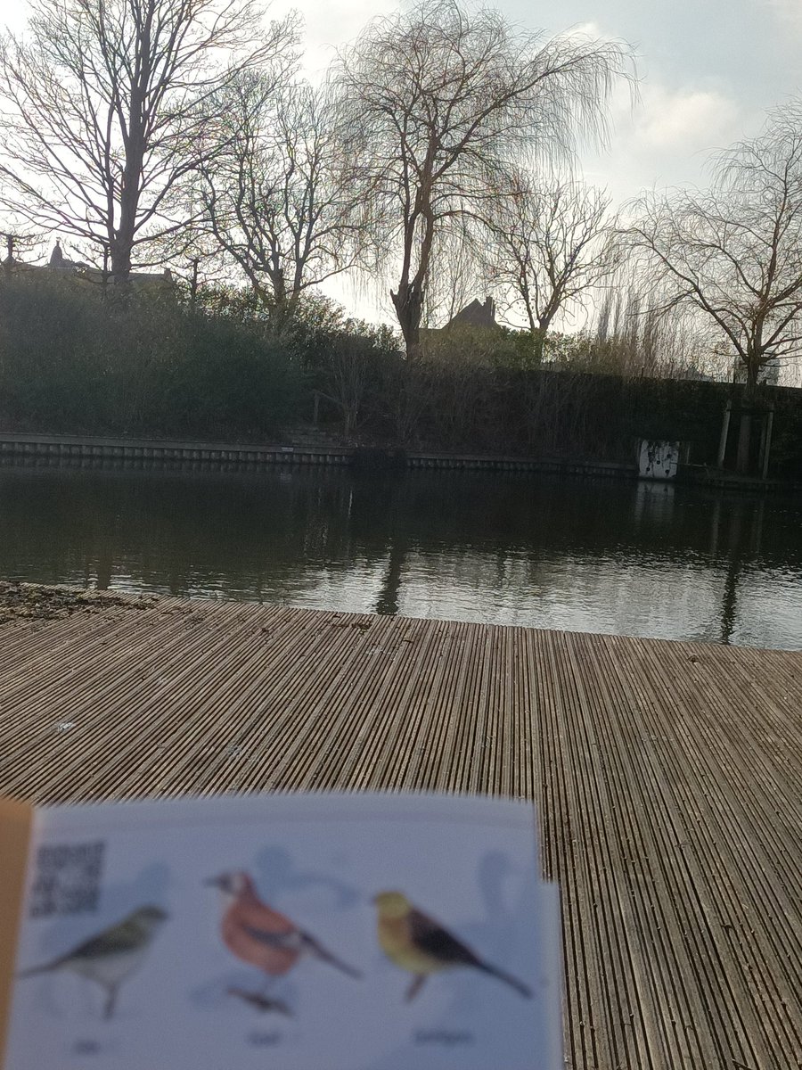 Bekijk deze video over Vogeltelling 🐦‍⬛🐦‍⬛ in #Rijswijk #TikTok vm.tiktok.com/ZGdmsVshL/