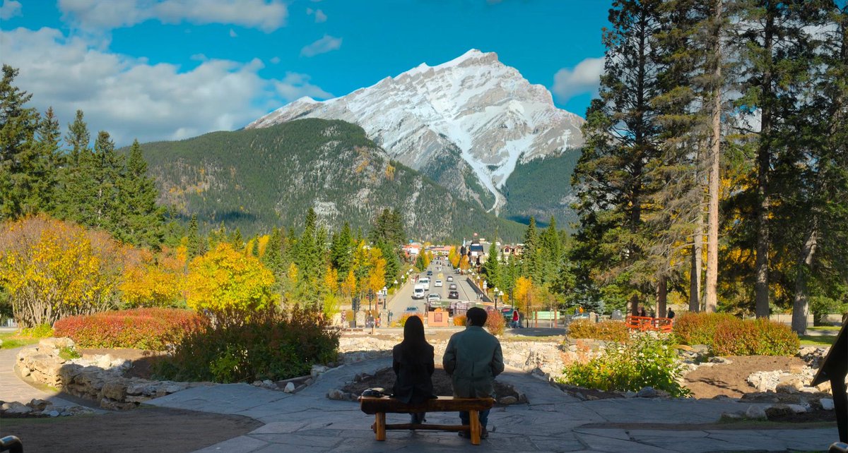 Sunny BKK Dude 🇹🇭 🏝️🎵 tweet media