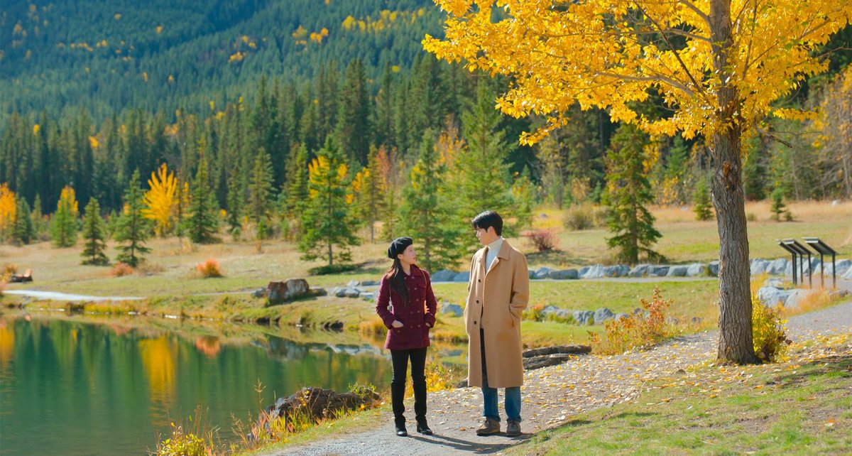 Sunny BKK Dude 🇹🇭 🏝️🎵 tweet media