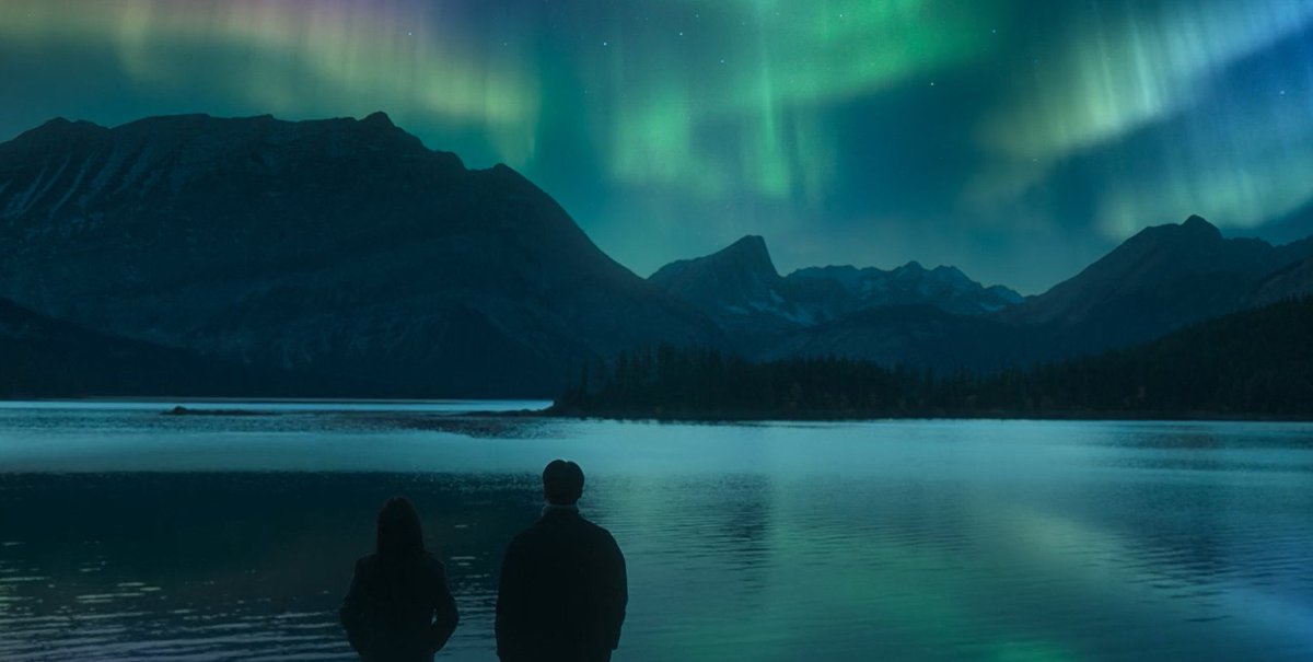 Sunny BKK Dude 🇹🇭 🏝️🎵 tweet media