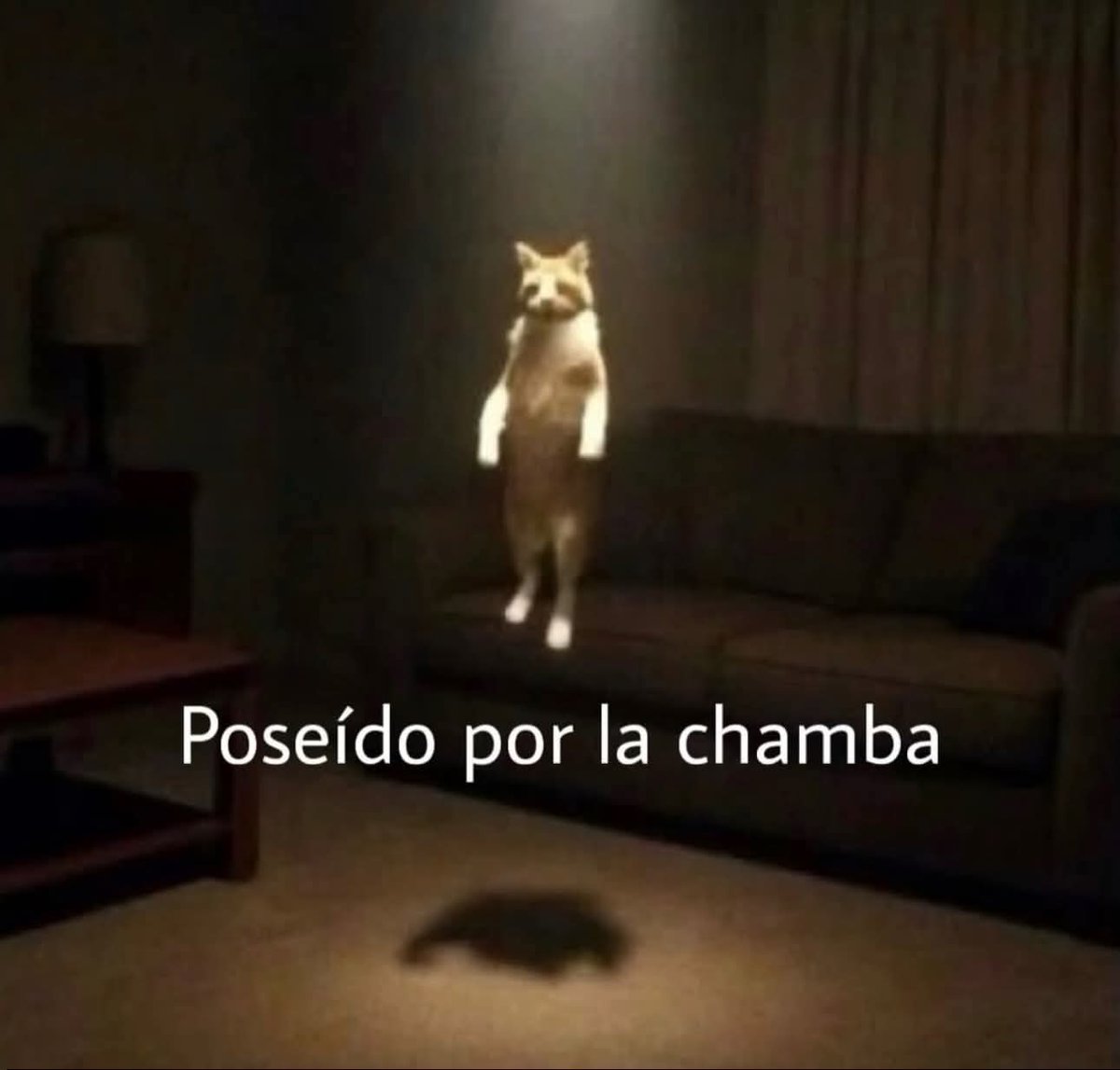 En Júpiter (@en_jupiter_) on Twitter photo 