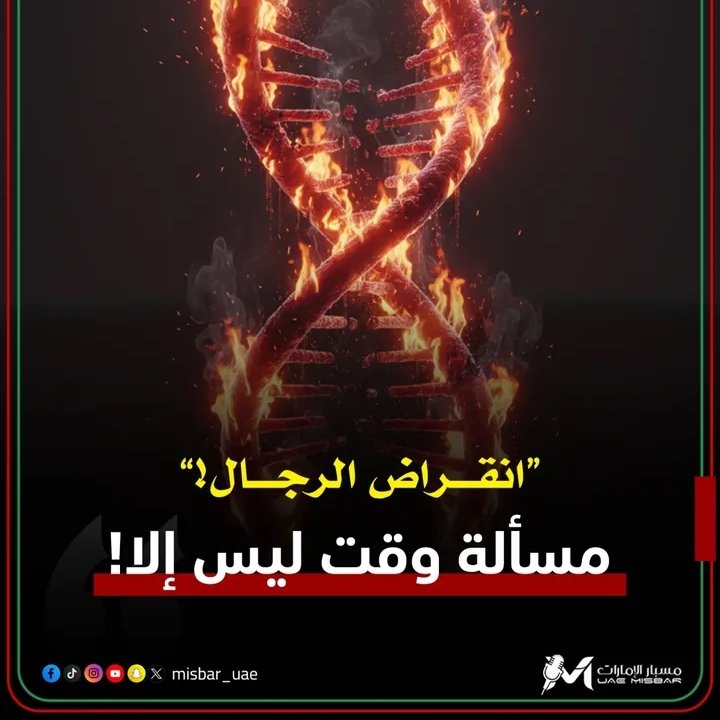 🌹 zahra🌹🌐 tweet media