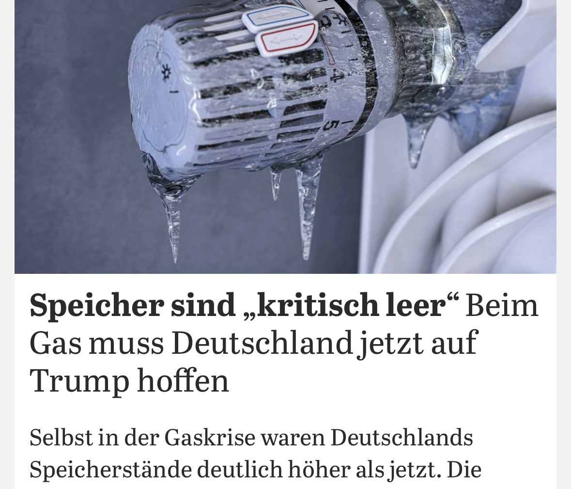 Wir hätten Habeck haben können. 

Jetzt sind wir von Nazis abhängig.