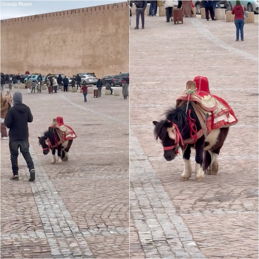 GOSSIP ROOM tweet media