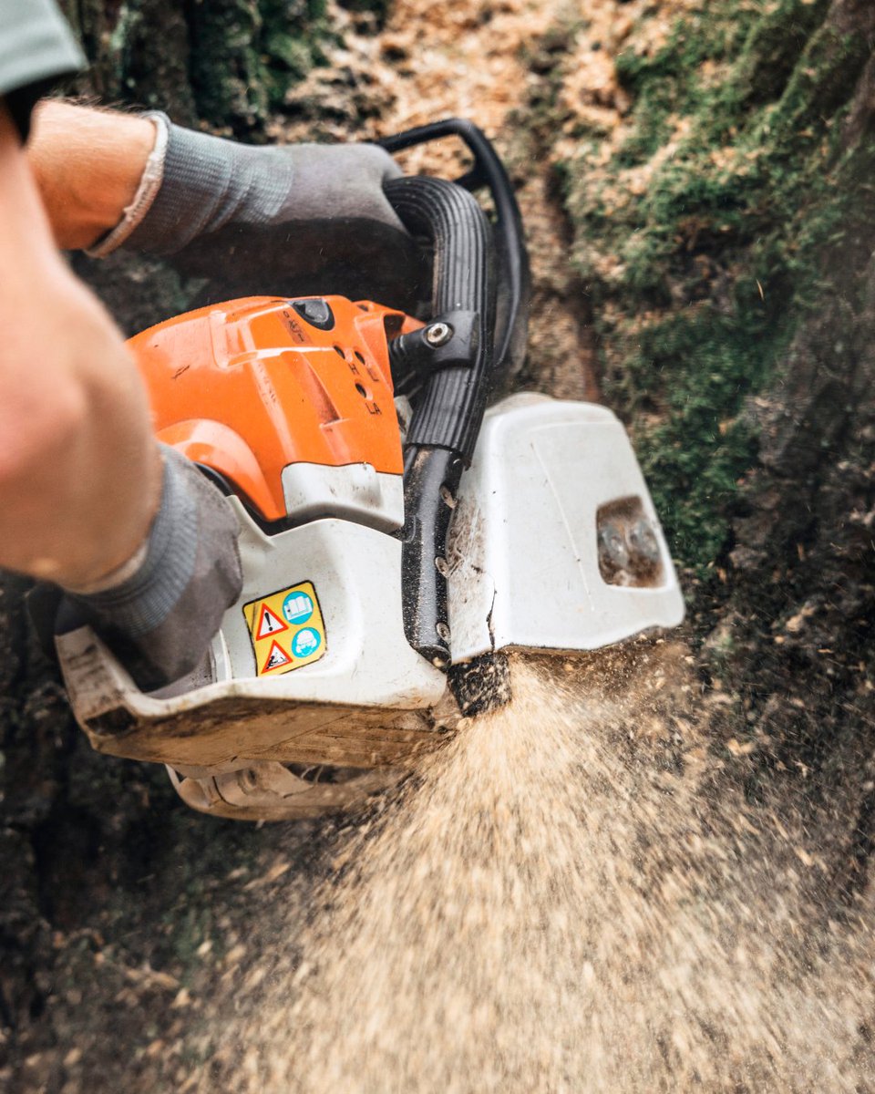 BrothersTree_'s tweet photo. From trimming to removal, our certified team keeps your property safe and beautiful. Book your tree service today and let your landscape thrive! 

📞 (501) 952-1192

#BrothersTreeService #TreeTrimming #TreeRemoval #Pruning #Removal #Tree #YardHack #Landscape #Landscaping https://t.co/CKP7QZEFul