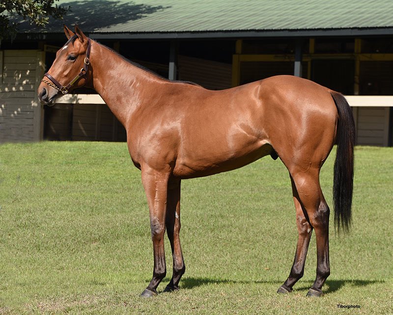 Top Line Sales tweet media