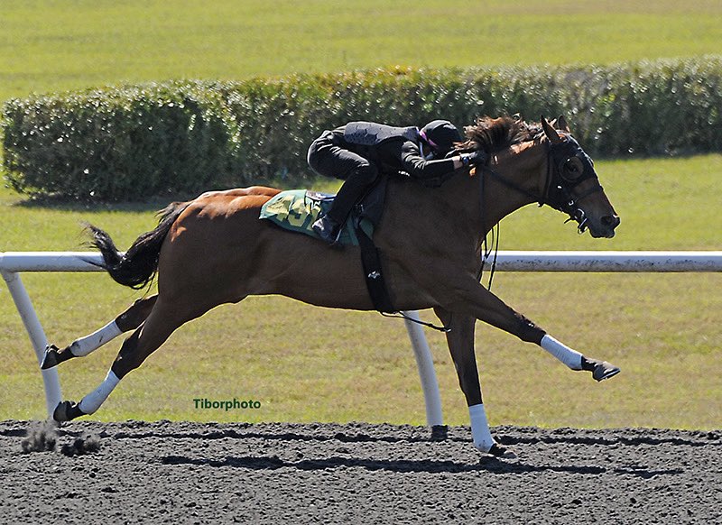 Top Line Sales tweet media