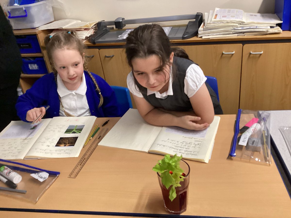 StMarksCEWigan's tweet image. This week in Science, Elmers learned and investigated about the transportation in plants.
#creatingabetterfuture
