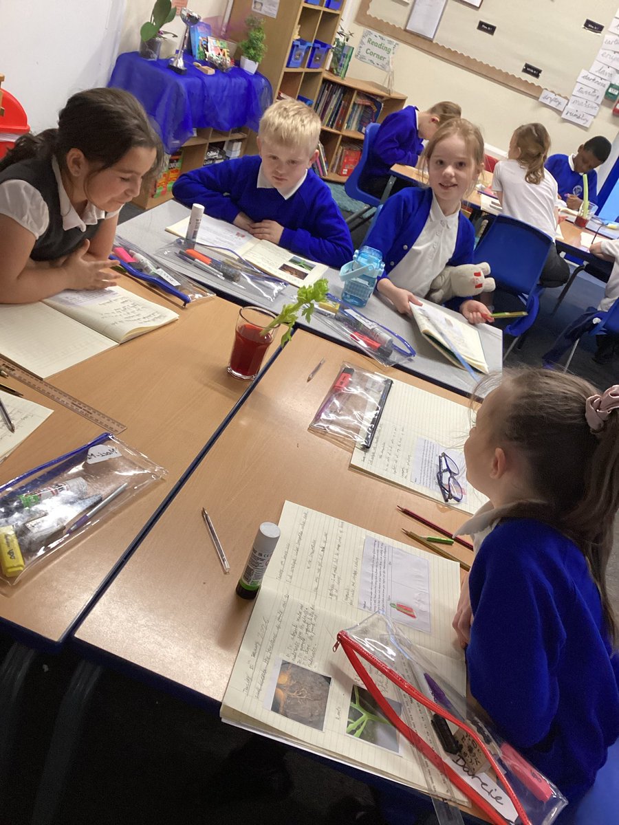 StMarksCEWigan's tweet image. This week in Science, Elmers learned and investigated about the transportation in plants.
#creatingabetterfuture