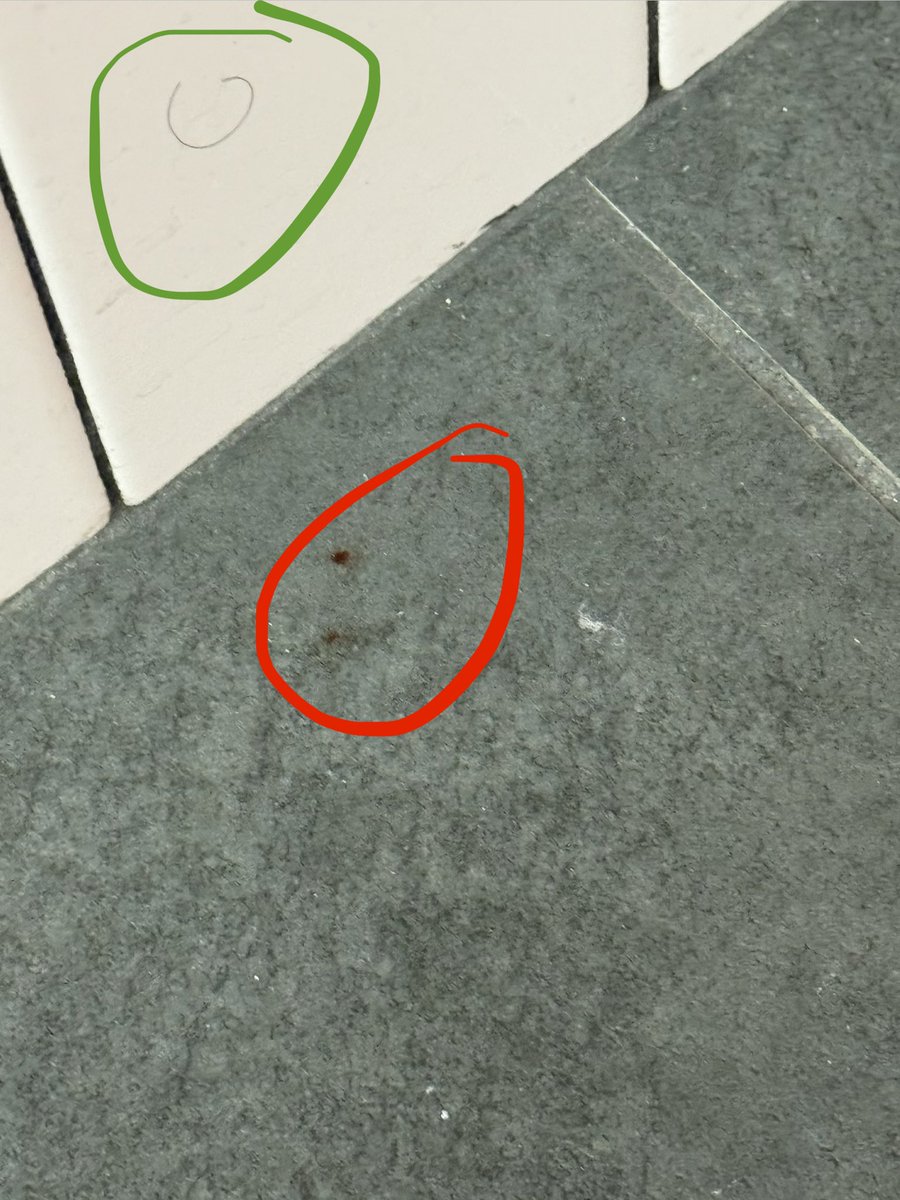 ilanshark's tweet photo. @CrunchGym in Hallandale These stains of blood are on the men’s lockers/shower. I mentioned this to a couple of employees last week and then yesterday to the manager and today they still there. https://t.co/AiHBHeo5X0