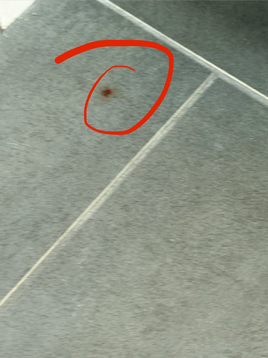 ilanshark's tweet photo. @CrunchGym in Hallandale These stains of blood are on the men’s lockers/shower. I mentioned this to a couple of employees last week and then yesterday to the manager and today they still there. https://t.co/AiHBHeo5X0