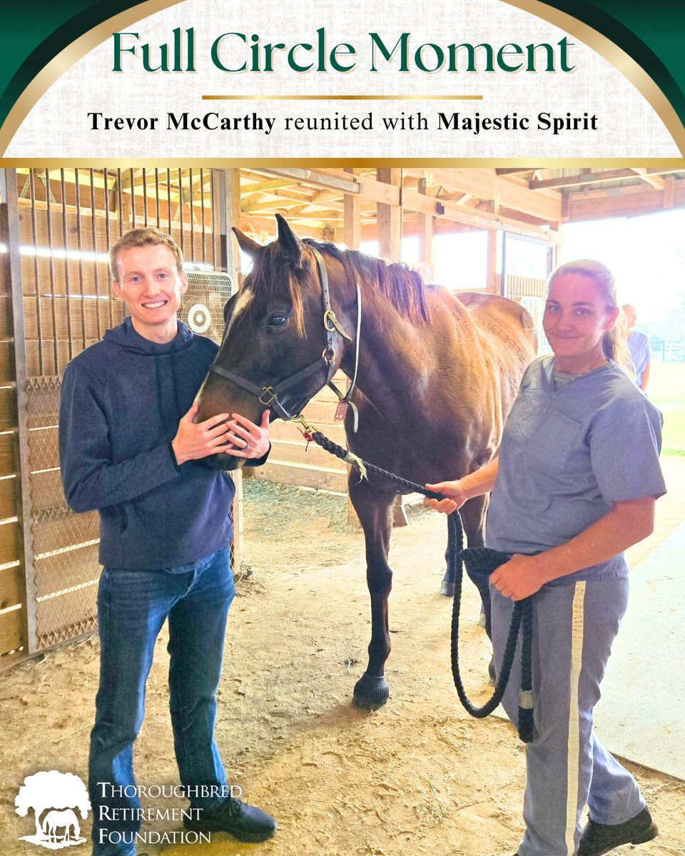 Thoroughbred Retirement Foundation (TRF) tweet media