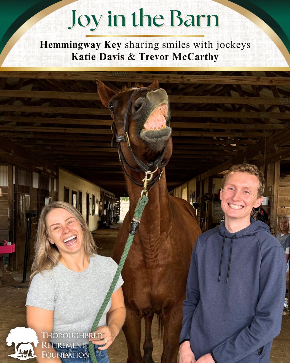 Thoroughbred Retirement Foundation (TRF) tweet media