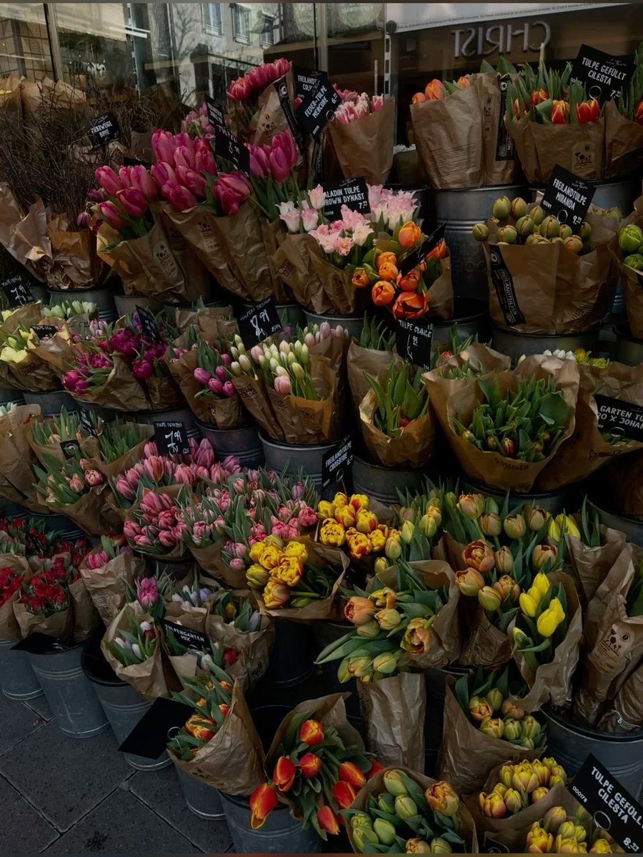 1leio's tweet image. 