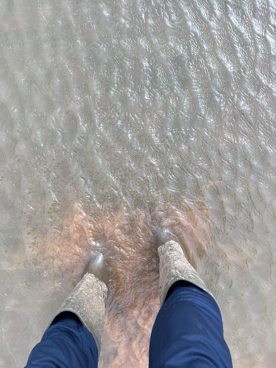 RNAS Culdrose FC tweet media