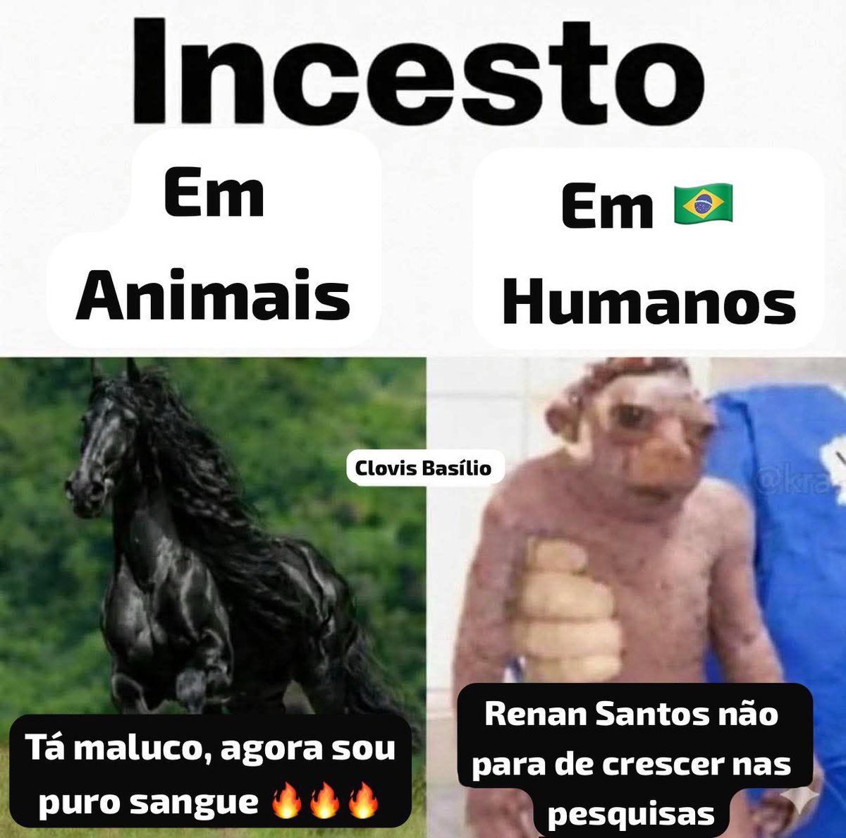 <a href="/RenanSantosMBL/">Renan Santos⬛️🟨⬜️</a> Pq será?