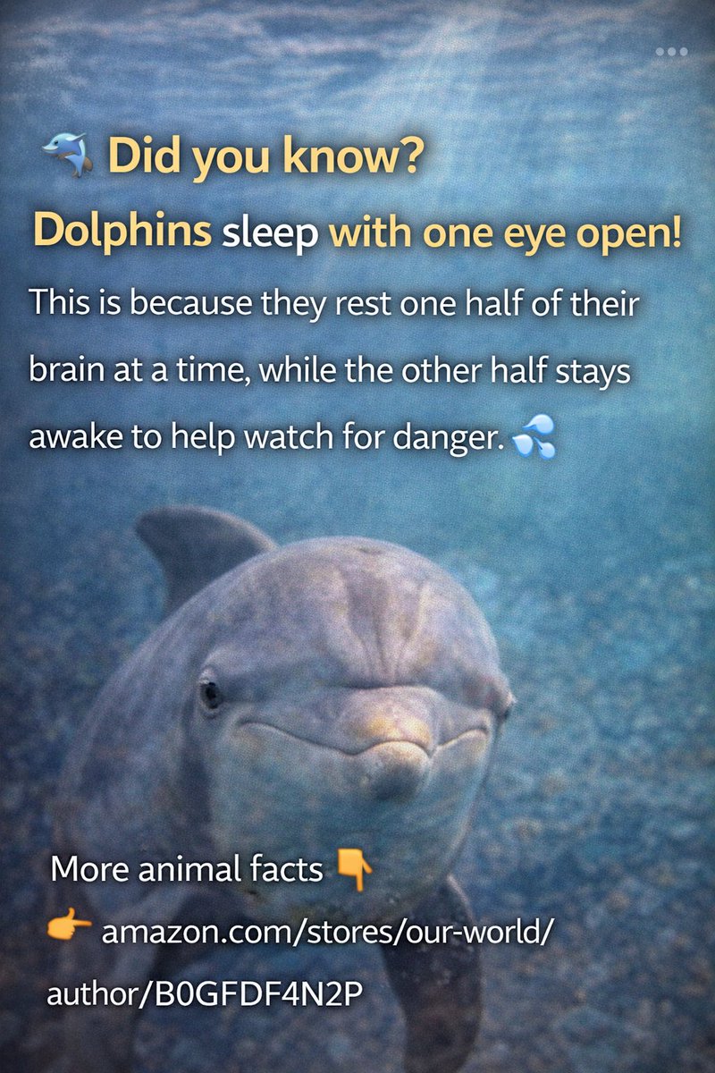 OurWorldBooks's tweet photo. 📚 Discover more animal facts from the author:
👉 https://t.co/TjyPbPFWTw
#Dolphins #DidYouKnow #AnimalFacts #OceanLife #MarineAnimals #Wildlife #OurWorld https://t.co/kZrSIqNJ53