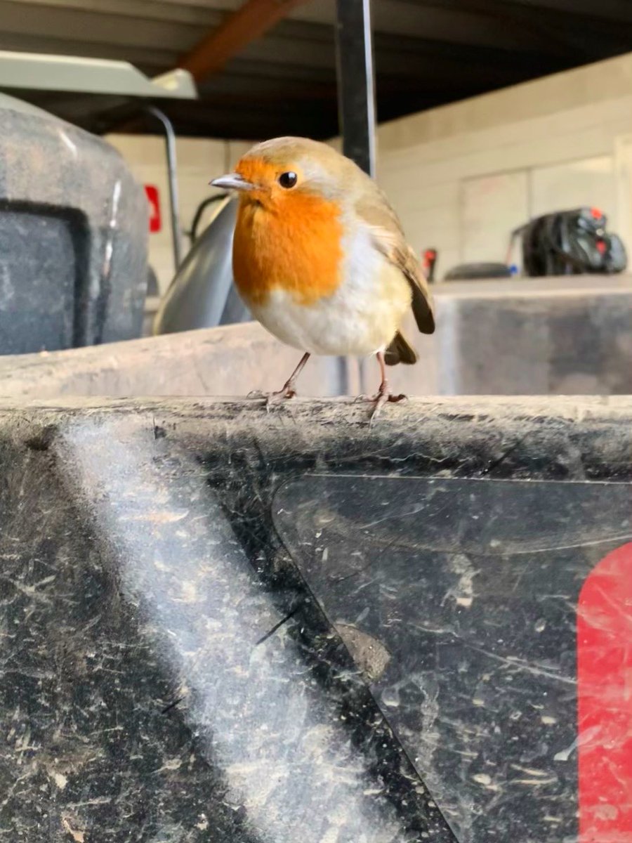 Steven🤟🏻 tweet media