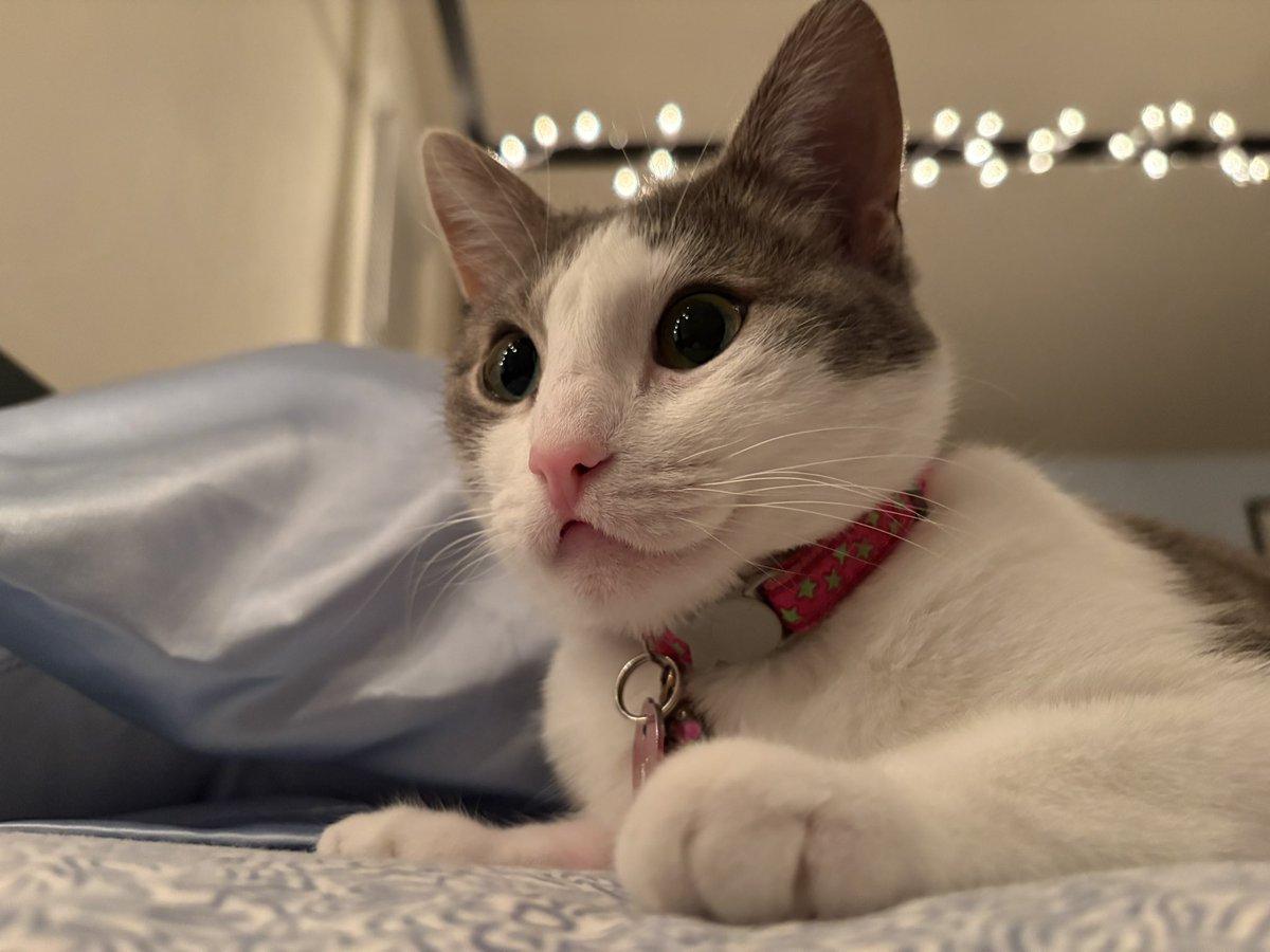 the shimmer in her eyes from the fairy lights makes her look magical 🩷