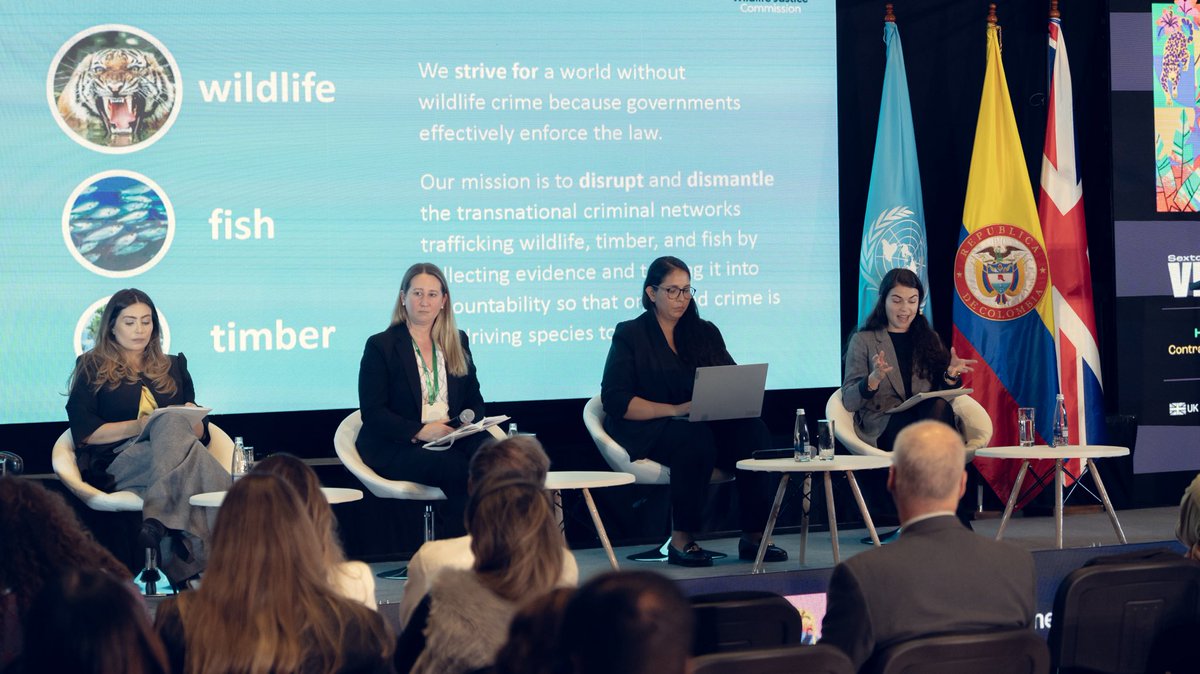 UNODC Región Andina y Cono Sur tweet media