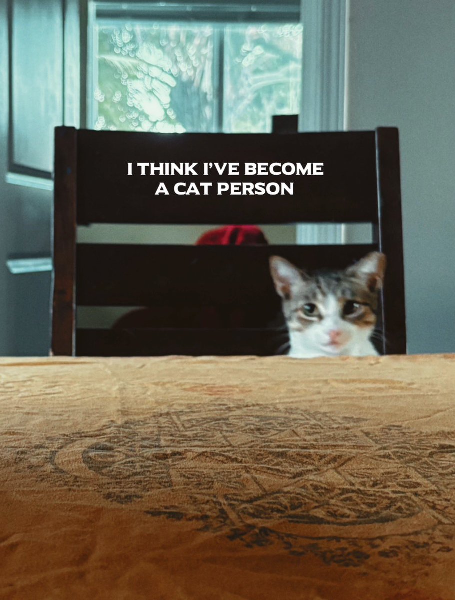 Luke Beling tweet media