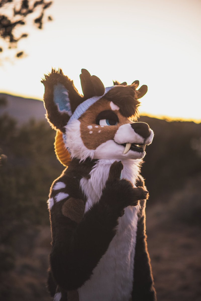 Gonna bite u 

📸: sassafras.bsky.social

#FursuitFriday