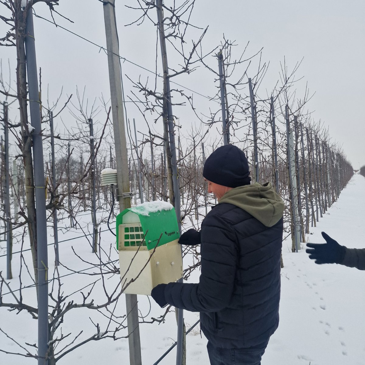 Trapview tweet media