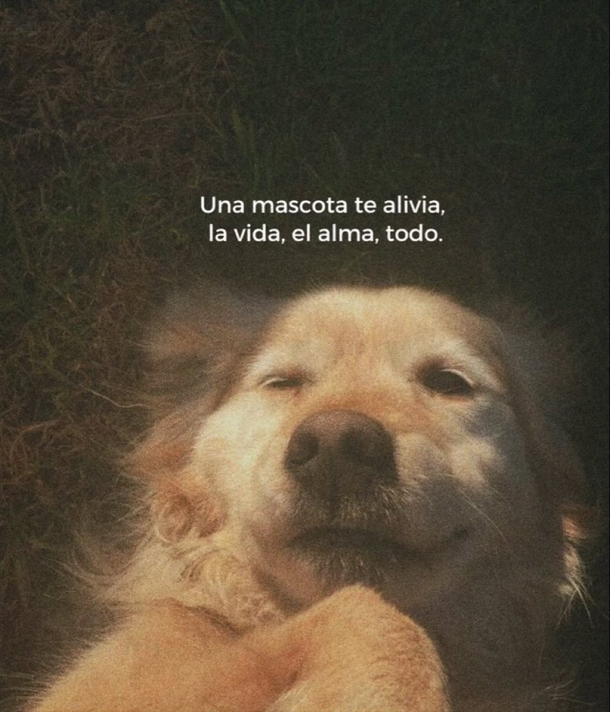 🌙 mini textos (@soyminitextos) on Twitter photo 