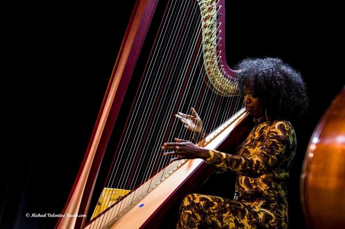 Michael Valentine Studio tweet media