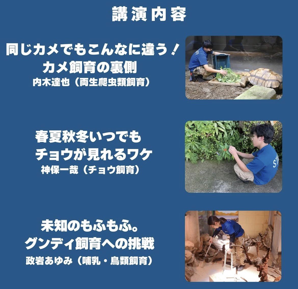 きなこもこ (@moco_kinaco) / Posts / X