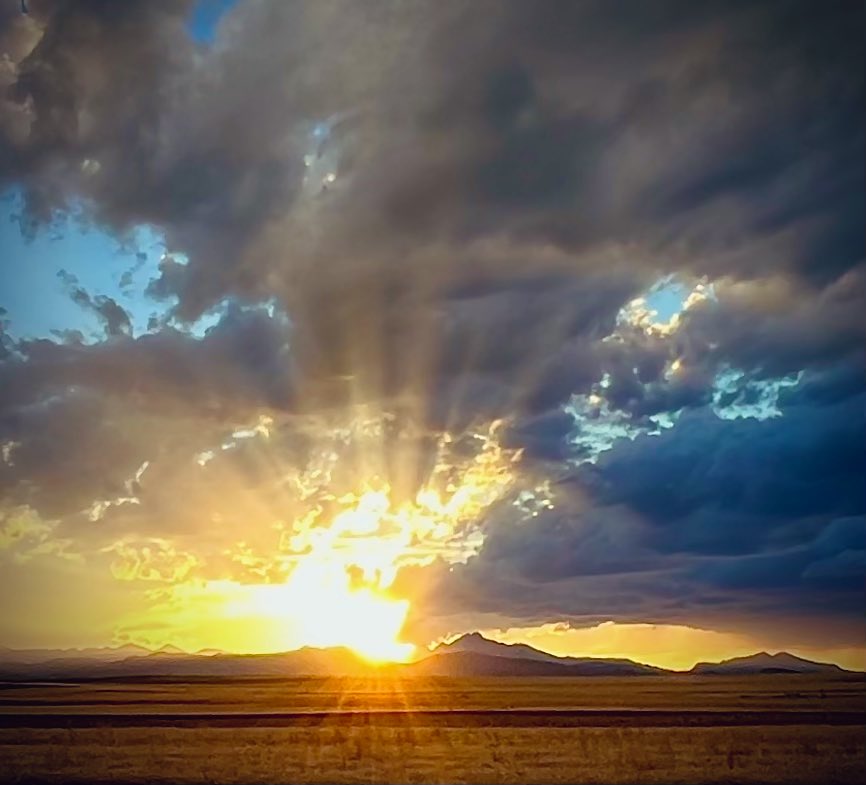 D Miller tweet media