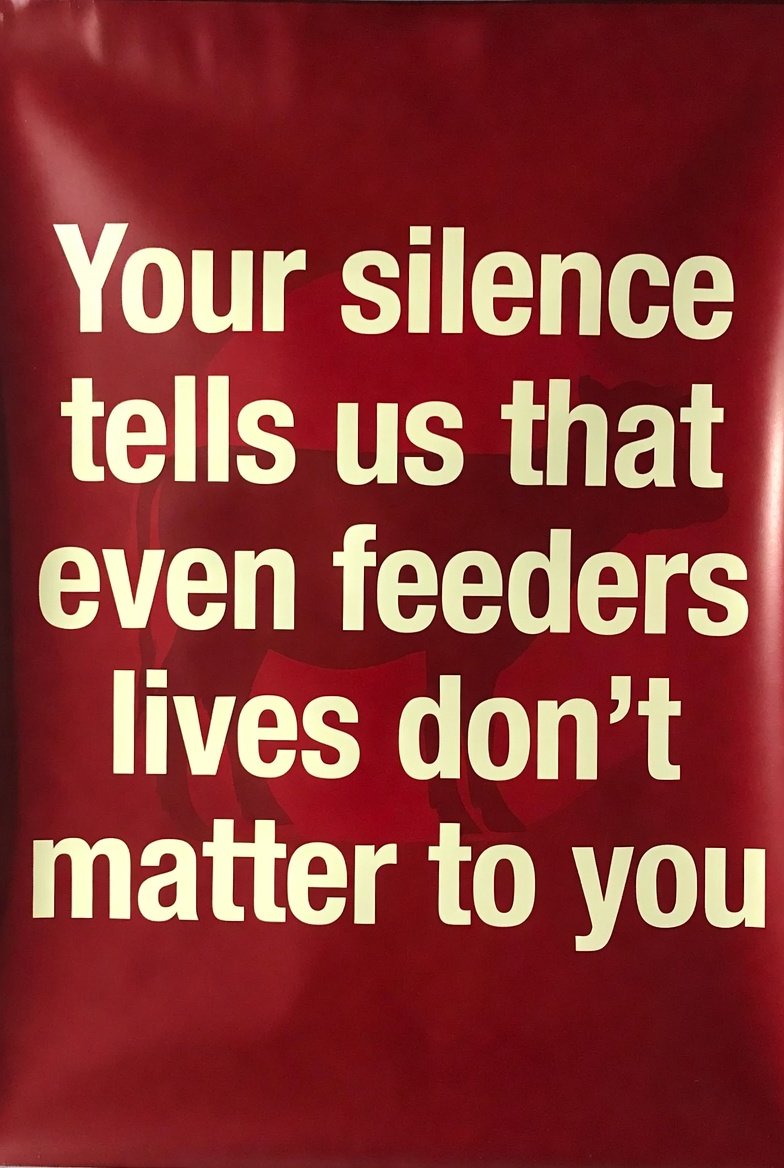 rashim_s's tweet photo. Feeders are not the problem.
They are the foot soldiers who make ABC possible.

#SupremeCourtofIndia 
#csvr https://t.co/2zhPhS2iVB