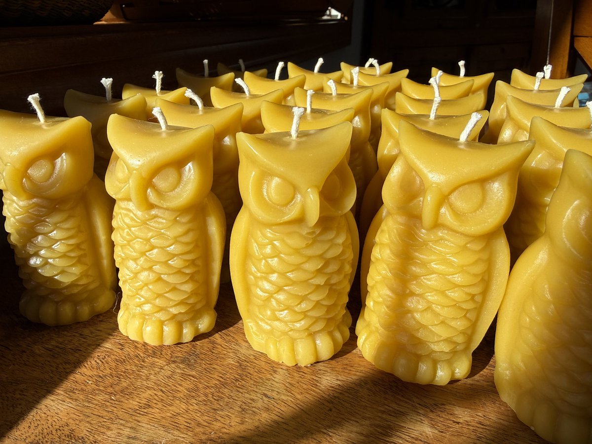 Lady Hollow Tree tweet media