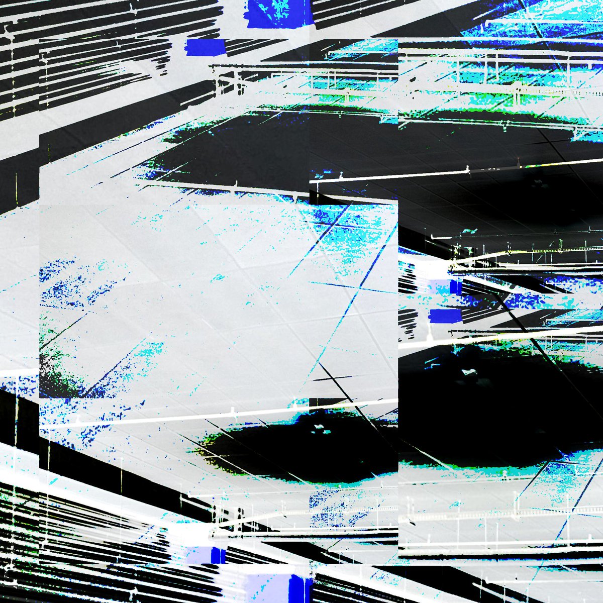 ViTa tweet media