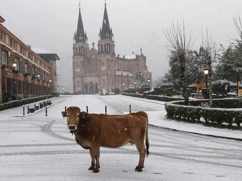 Magical Spain (@magicalspain) on Twitter photo 