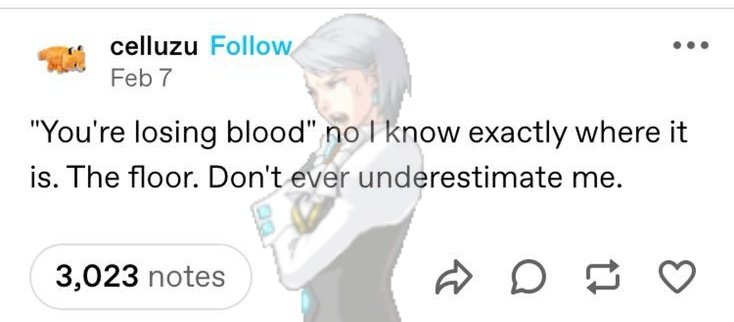 phoenixwrong tweet media