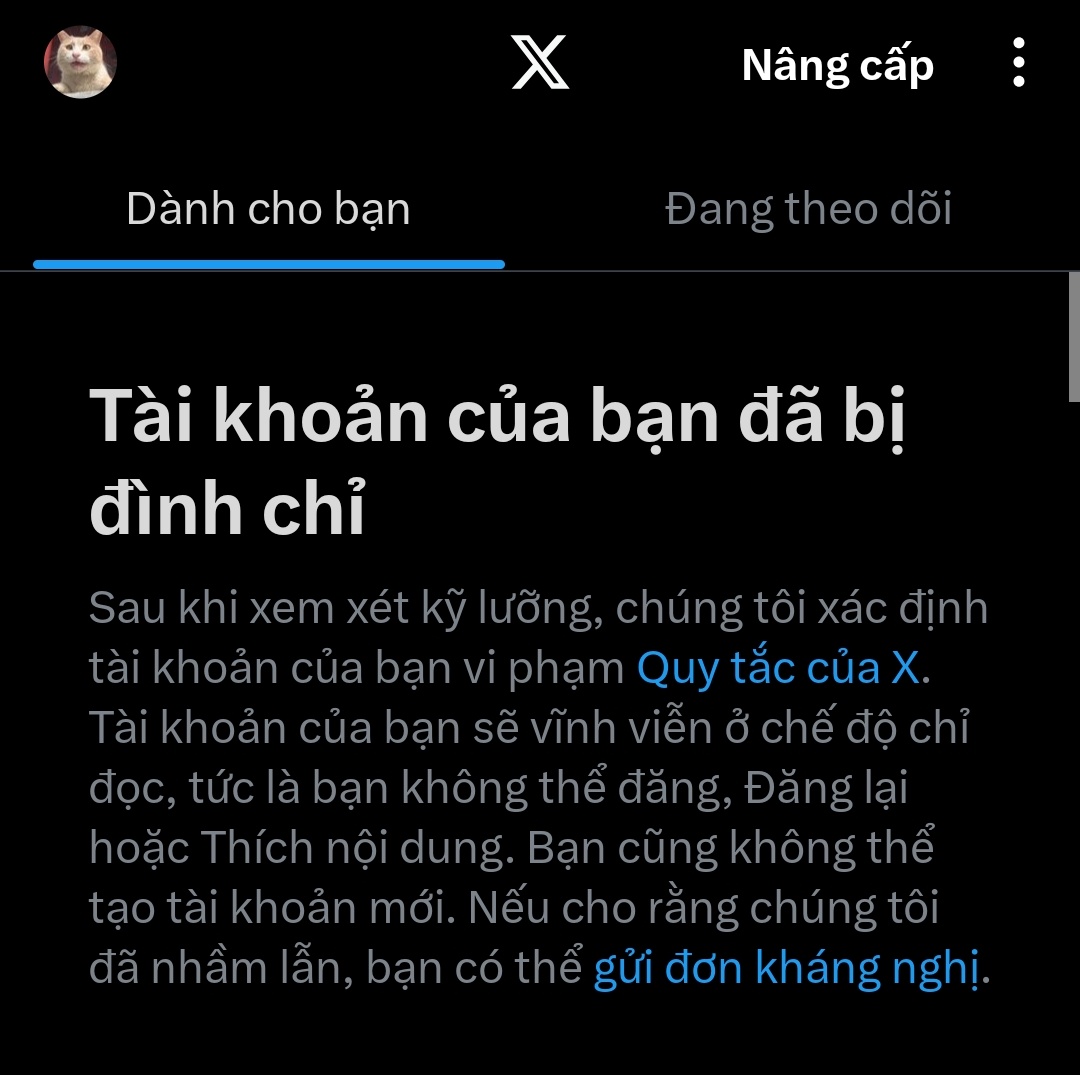 Acc dùng tạm của nhỏ mikemi tweet media