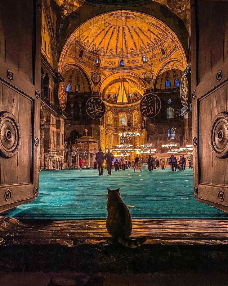 ArchVisionW's tweet image. 📍Hagia Sophia,Istanbul