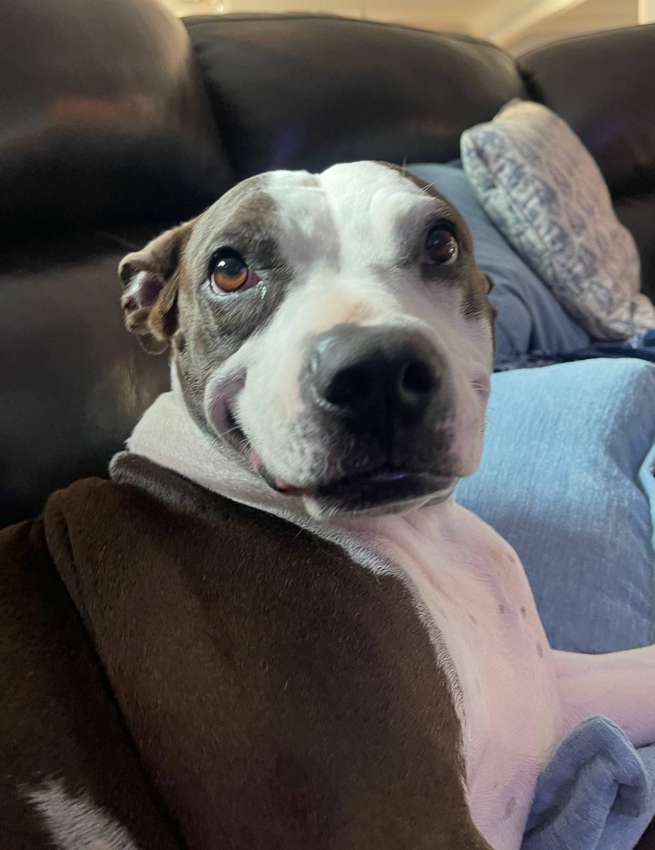 Emily Kate tweet media