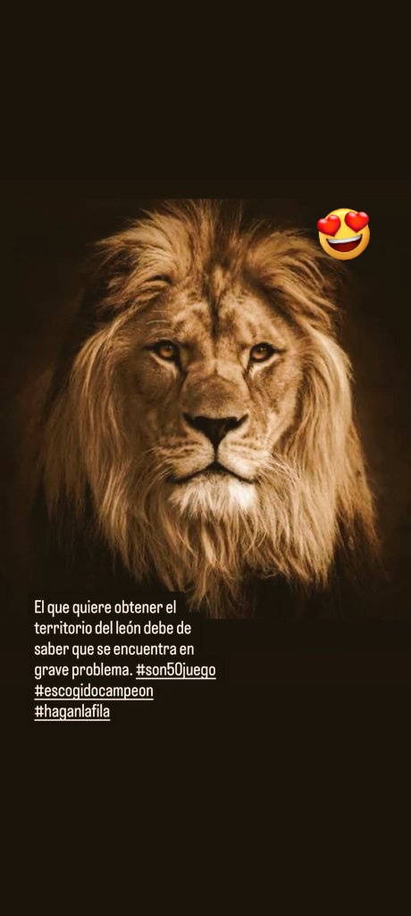 Villar #LaMaquinaria tweet media