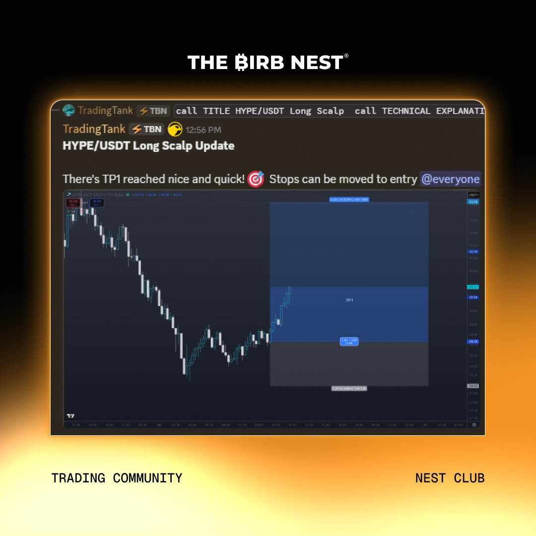 TheBirbNest tweet picture