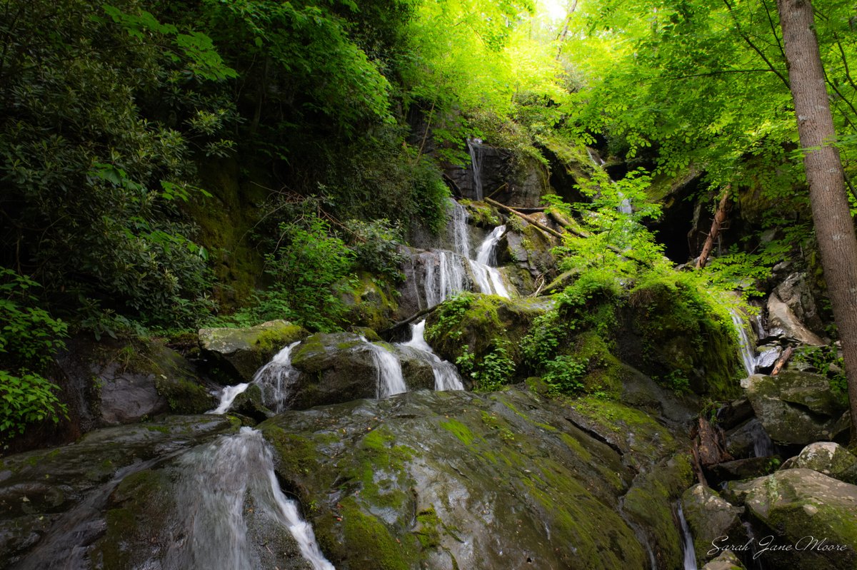 Meet me at the Place of a Thousand Drips. 

Located near Gatlinburg, the Place of a Thousand Drips is a low-flow waterfall known for the intricate paths carved in the rock by the streams of flowing water.

📷 Sarah Jane Moore
