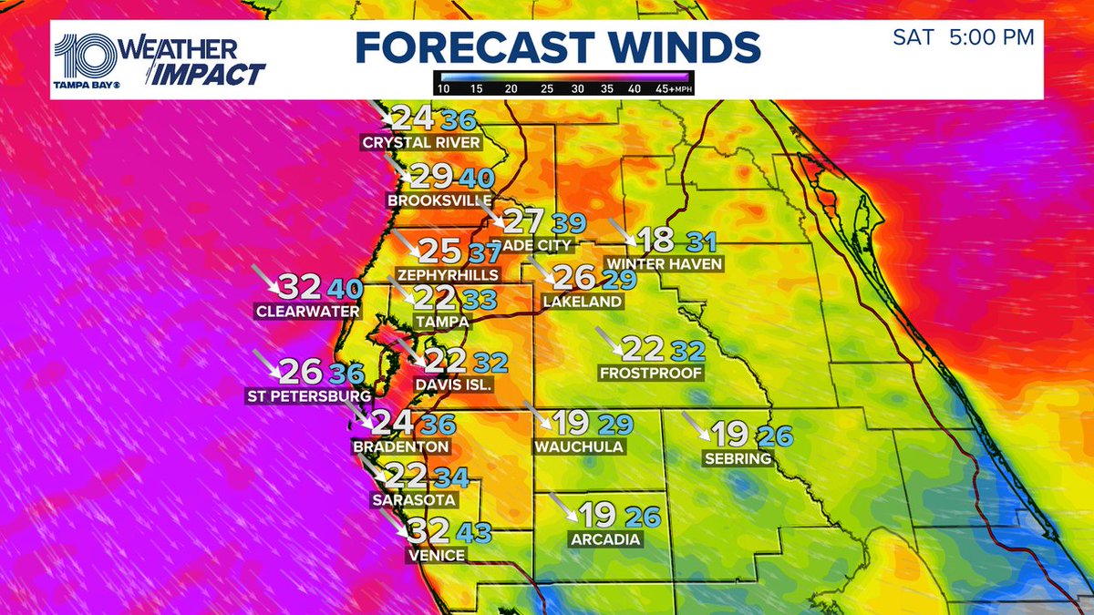 BobbyWTSP's tweet image. WINDY: Gale Warnings will be flying with tropical storm force wind gusts tomorrow!  Not a good day to take the boat out. #gasparilla #boating #weather #windy #tampa