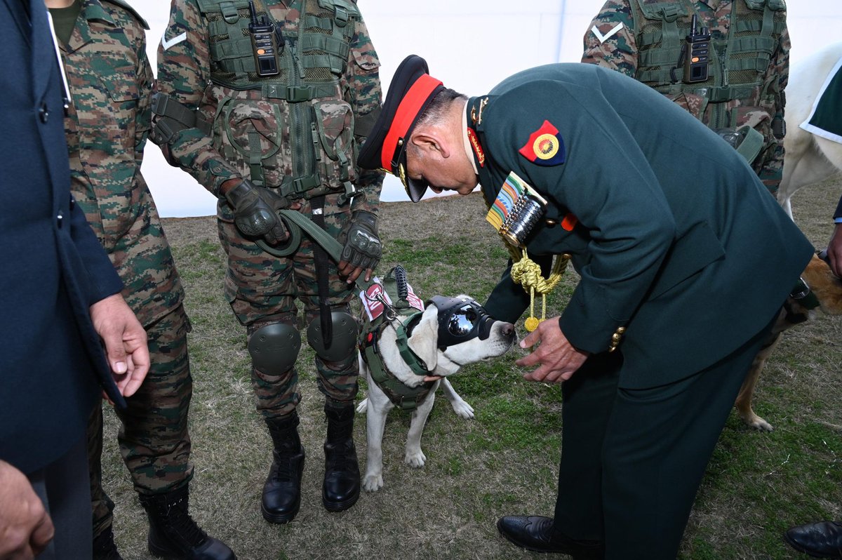 RakshaSamachar's tweet image. #ArmyChief Upendra Dwivedi with #BactrianCamels and #ArmyDogs and #ZanskarPony after giving them commendation cards @adgpi #indianarmy #RepublicDay2026 #bactriancamel #zanskarpony #dogs