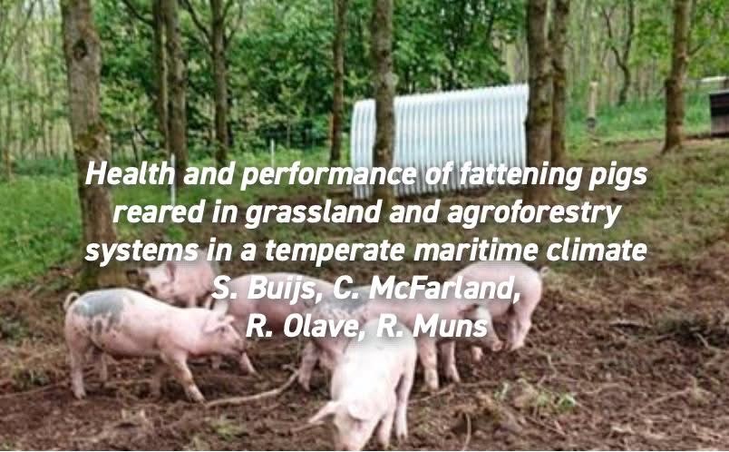 appliedethology's tweet photo. #NewResearchAlert
"Health and performance of fattening pigs reared in grassland and agroforestry systems in a temperate maritime climate" by Buijs et al.
Get the full paper here: https://t.co/QasKMdnnh3
#agroforestry #outdoorpigs #freerangepigs https://t.co/rEhsdmrhLd