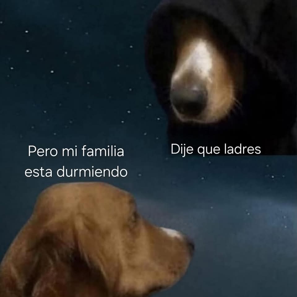 Animalesaprieto's tweet photo. https://t.co/vhhdkRjljy