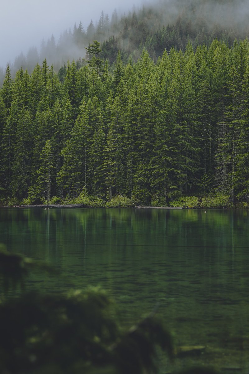 Thank God it's Friday