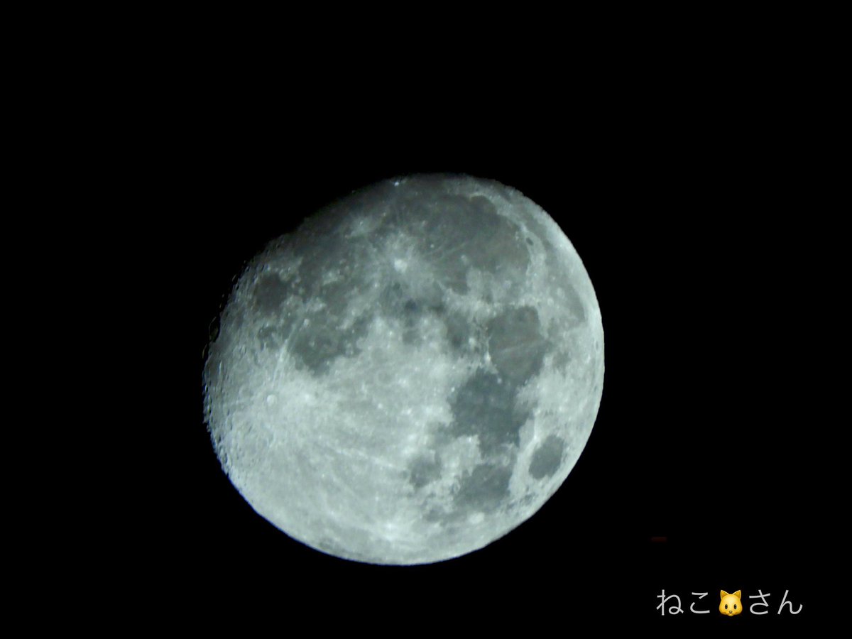 Neko3no29Q's tweet photo. #十三夜 のお月様🌔
明るいね˙˚ 𓆩 (*´▽`*)✿𓆪 ˚˙
#Nikon
#B700
#コンパクトデジタルカメラ
#コンデジ https://t.co/aAzil477ZY